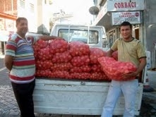 KIŞLIK SOĞANLAR İLGİ GÖRÜYOR Balıkesir’in Bigadiç ilçesinde, Mustafa Akgül’ün sattığı kışlık kuru soğan ilgi