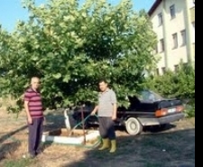  Balıkesir’in Burhaniye ilçesinde, mahallelerindeki boş alanları yeşillendiren Abit Erkan ve