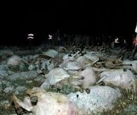 Balıkesir’in Havran İlçesine bağlı Karalar Köyünde geçtiğimiz akşam şiidetli yağan