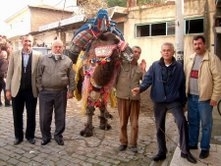  Balıkesir’in Burhaniye ilçesinde, Deve ve Deve Güreşi Sevenler Derneği’nin öncülüğünde
