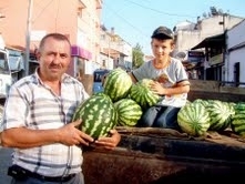 BURHANİYE’DE GÜZ KARPUZU KAZANDIRDI Balıkesir’in Burhaniye ilçesinde, kilosu 1 liraya kadar çıkan güz karpuzu
