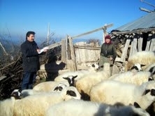 AYVALIK’TA MİNİK YELKENCİLERİN BAŞARI BELGESİ HEYECANI Balıkesir’in Ayvalık ilçesinde, Gençlik ve Spor İl Başkanlığı öncülüğünde Ayvalık