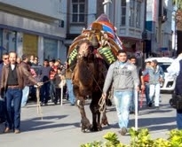  Her geçen gün meraklısı çoğalan, Türkiye’de başta Ege, Akdeniz ve