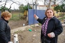 ASKERLERİN CANLARINI HİÇE SAYARAK ULAŞTIĞI KADINLAR SON ANDA KURTARILDI 