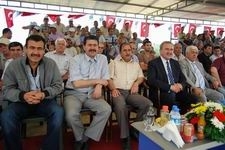 EDREMİT BELEDİYESİ 8'İNCİ YAĞLI PEHLİVAN GÜREŞLERİ KIRAN KIRANA GEÇTİ.