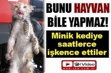 Minik kediye saatlerce işkence ettiler Sadist ruhlu insanlar sokak kedisine akıl almaz işkenceler yaptı.