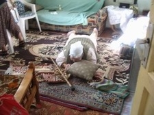 YAŞLI KADIN ÇARESİZ KALINCA ZABITAYI  ARADI  Balıkesir’in Edremit ilçesinde çaresiz
