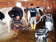 BURHANİYE’DE SÜT ÜRETİCİLERİNE MAKİNE KOLAYLIĞI Balıkesir’in Burhaniye ilçesinde, süt sığırcılığı gelişirken sağımda makine kullanımı da