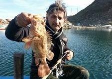 KAYMAKAM İSKORPİT BALIĞININ EN BÜYÜĞÜNÜ YAKALADI – KAYMAKAM İSKORPİT BALIĞININ EN BÜYÜĞÜNÜ YAKALADI Balıkçılığa merağı