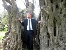 500 YILLIK ZEYTİN AĞACI ŞAŞIRTIYOR Balıkesir’in Havran ilçesinde yaklaşık 5 yüz yıllık zeytin ağacı görenleri