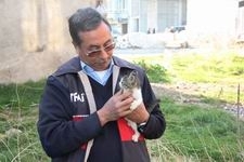 BURHANİYE’DE İTFAİYE’DEN KEDİ KURTARMA OPERASYONU – Balıkesir’in Burhaniye ilçesi Belediye