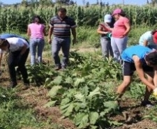 ‘Eğlenerek Üretiyorum’ Yaz Kampı Başladı Bu sene 2.si düzenlenen ’Eğlenerek Üretiyorum’ yaz kampı başladı. Burhaniye