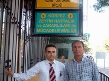 Balıkesir’in Burhaniye ilçesindeki Körfez Zeytin Hastalık ve Zararlıları ile Mücadele
