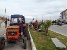 Balıkesir’in Ayvalık ilçesinde, Ayvalık Belediyesi’ne bağlı Park Bahçeler Müdürlüğü ekipleri