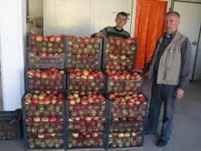 HAVRAN’IN TOPRAKLARINDAN BEREKET FIŞTIRIYOR Türkiye’nin en verimli topraklarına sahip olan Havran’da yetişen meyve ve
