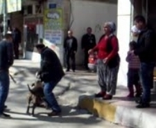 AYTUGEB’İN YEMEKLİ TOPLANTISINDA TÜRSAB TARTIŞMASI Balıkesir’in Ayvalık ilçesinde, 12 Şubat’ta 9–12 Şubat 2011 tarihleri arasında