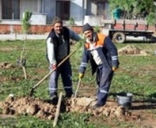   Balıkesir’in Burhaniye ilçesinde,  yeşillendirme çalışmalarına ağırlık veren belediye park