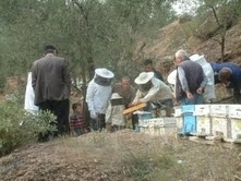 BURHANİYE DE ARICILAR TATBİKATA KATILDI Balıkesir’in Burhaniye ilçesinde, Halk Eğitimi Merkezi Müdürlüğünün açtığı 80 saatlik