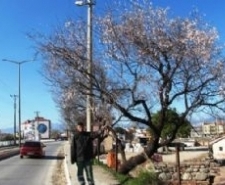 “Havranlı çiftçiler çağla ve badem zengini olacak” 