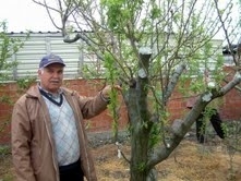 Balıkesir’in Burhaniye ilçesinde , ilçenin Imari Click yoğun Bir çalışma