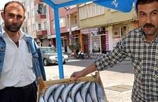 TANESİ 15 LİRADAN SATILAN PALAMUT BALIĞI 5 LİRAYA KADAR DÜŞTÜ