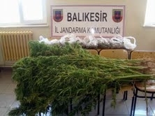 Balıkesir İl Jandarma Komutanlığı ekipleri il genelinde uyuşturucuya geçit vermiyor.
