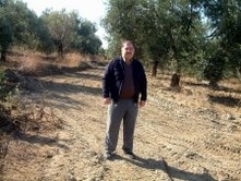 Balıkesir’in Burhaniye ilçesinde, zeytin hasadı öncesi tarla ve zeytinlik yollarına
