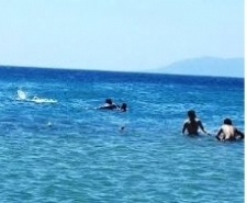 Balıkesir’in Ayvalık ilçesinin dünyaca ünlü Sarımsaklı Plajlarında Balıkesir Büyükşehir Belediyesi