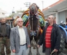 BURHANİYELİ BİSİKLETÇİLERDEN ŞEHİTLERE SAYGI TURU Balıkesir’in Burhaniye ilçesinde, Bömçed Pegasıs Bisiklet Grubu, şehitlere saygı turu