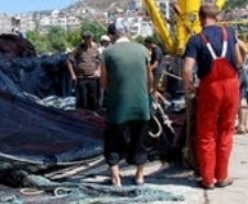 KÖRFEZ İLÇELERİNDE BALIKÇILAR HAZIRLIKLARINI TAMAMLADI Balıkesir’in Körfez ilçelerinde balıkçılar, 1 Eylül 2010 tarihi ile başlayacak