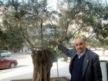  Balıkesir’in Ayvalık ilçesinde, Sağlık Bakanlığı’nın Aile Hekimliği uygulaması kapsamında kapatılması