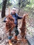 SU GÖZLERİ TEMİZLENDİ Zeytinli Mahallesi bölgesinde bulunan su gözleri BASKİ Körfez Şubesi Müdürlüğü