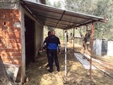 EDREMİT’TE YERLEŞİM YERİ İÇİNDEKİ HAYVAN DAMLARI YIKILIYOR Edremit Belediyesi tarafından yerleşim yerleri ve zeytinlik alanlar içerisinde bulunan