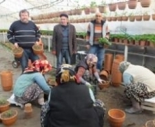 BURHANİYE’ DE ÇİÇEK SERALARI İŞ KAPISI OLDU Balıkesir’in Burhaniye ilçesinde, Çiçekçiler Kooperatif çatısı altında bir araya gelirken,