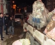 Balıkesir’in Ayvalık ilçesinde, henüz başak dönemi başlamadan başak zeytini toplamaya