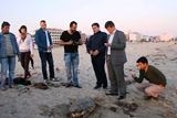 NAYLON POŞETİ DENİZANASI SANIP YİYEN CARETTA CARETTA PLAJA VURDU Balıkesir’in Ayvalık ilçesinin dünyaca ünlü Sarımsaklı Plajında akşam saatlerinde kumsala