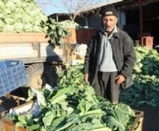 Balıkesir’in Burhaniye ilçesinde, geçtiğimiz haftalarda tanesi 4 liraya kadar çıkan