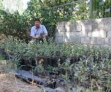 Balıkesir’in Ayvalık ilçesinde sanatsal etkinlikler, ilçenin her köşesinde çığ gibi