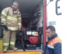 BURHANİYE’DE MAHSUR KALAN KÖPEGİ İTFAİYE EKİPLERİ KURTARDI Balıkesir’in Burhaniye ilçesinde derede mahsur kalan köpeği itfaiye ekipleri kurtardı.
