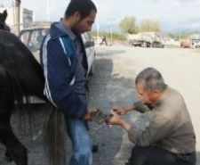 Türkiye’nin her yerinde olduğu gibi Balıkesir’in Havran ilçesinde de nalbantlık