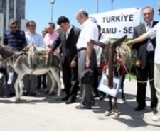 SENDİKADAN EŞEKLİ EYLEM MEMUR SENDİKALARI TOPLU SÖZLEŞMESİ GÖRÜŞMESİ ÖNCESİ, TÜRKİYE KAMU-SEN, EŞEKLİ BİR