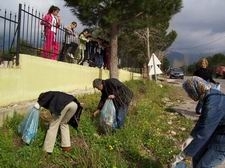 Balıkesir’in Edremit ilçesine bağlı Kızılkeçili köyünde 2 yüz adet çam