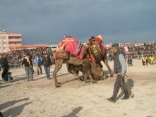 Balıkesir’in Burhaniye ilçesi, Bölgesel Kalkınma Kongresi’ne ev sahipliği yapacak. Balıkesir