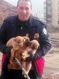 MAHSUR KALAN KÖPEK YAVRULARINI İTFAİYE KURTARDI Balıkesir’in Edremit İlçesinde istinat duvarı arkasında mahsur kalan 3 köpek