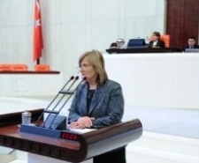 CHP Balıkesir Milletvekili Ayşe Nedret Akova; kadın istihdamının arttırılıp, kadının