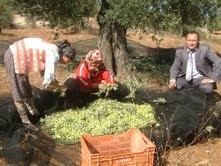 KARAAĞAÇ’DA BİYOLOJİK ARITMA SİSTEMİ KURULACAK Balıkesir’in Gömeç ilçesine bağlı Karaağaç beldesinde biyolojik arıtma sistemi kurulacağı