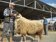 Balıkesir’in Ayvalık ilçesinde yaşayan, Yeşilçam’ın ünlü yönetmenlerinden Zafer Par, yüksek