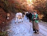Edremit Fotoğraf Kulübü tarafından düzenlenen “Yurdum Kadını” konulu fotoğraf yarışması