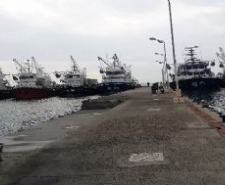 Kuzey Ege’de yaşanan olumsuz hava kuşulları denizleri de etkiledi. Yakaladıkları