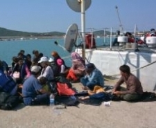 AYVALIK’TA 71 KAÇAK KISKIVRAK YAKALANDI Balıkesir’in Ayvalık ilçesinde bir ihbar üzerine harekete geçen sahil güvenlik